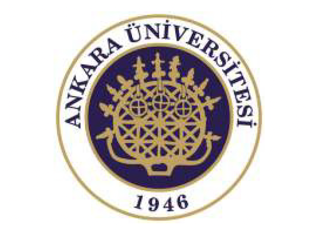 Çankaya Grup